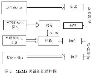 MSMS 強鏈 結構圖