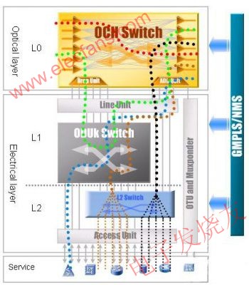 ZTE DWDM 光、電交叉業務調度模型 www.asorrir.com