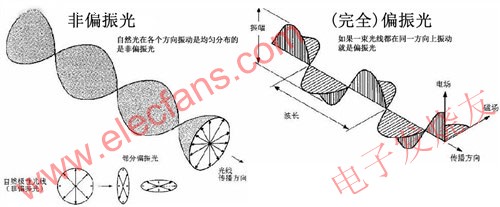 偏振光和偏振眼睛的原理 www.asorrir.com