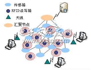 RFID傳感器網絡體系結構