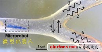 科學家開發微型機器人進入人體血管清除淤積