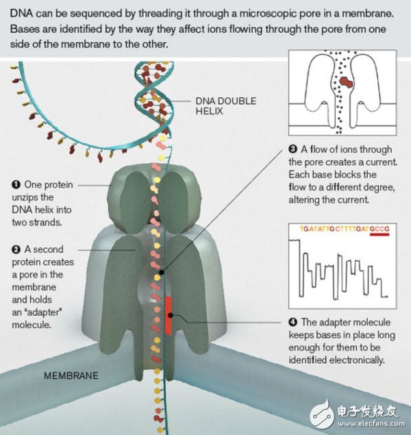 納米孔測序