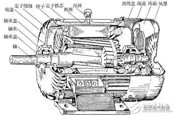 異步電動機的工作原理與結(jié)構(gòu)