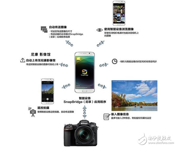 尼康D500怎么樣：高速攝影單反哪家強(qiáng)？尼康D500深度評(píng)測(cè)