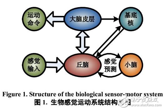 基于BP神經(jīng)網(wǎng)絡(luò)的機(jī)器人感覺運(yùn)動系統(tǒng)