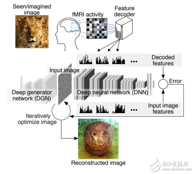 透過「譯碼」腦波，日本團隊的 AI 能重建你腦中所見、所想